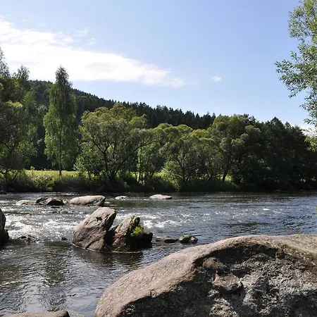 Ferienwohnung Regentalblick Miltach Buitenkant foto