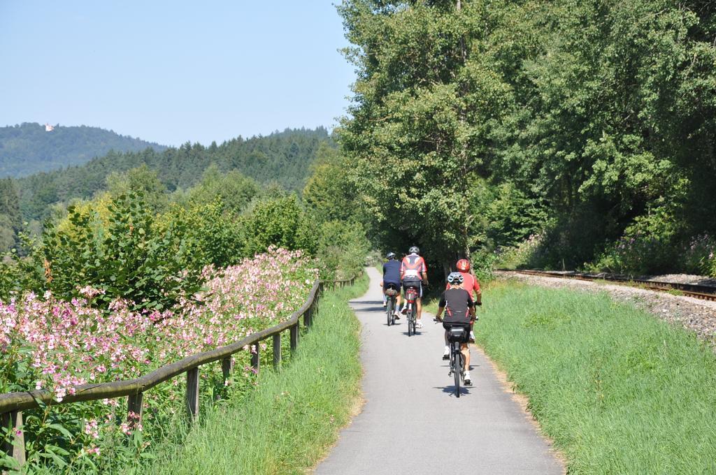 Regentalblick * Miltach